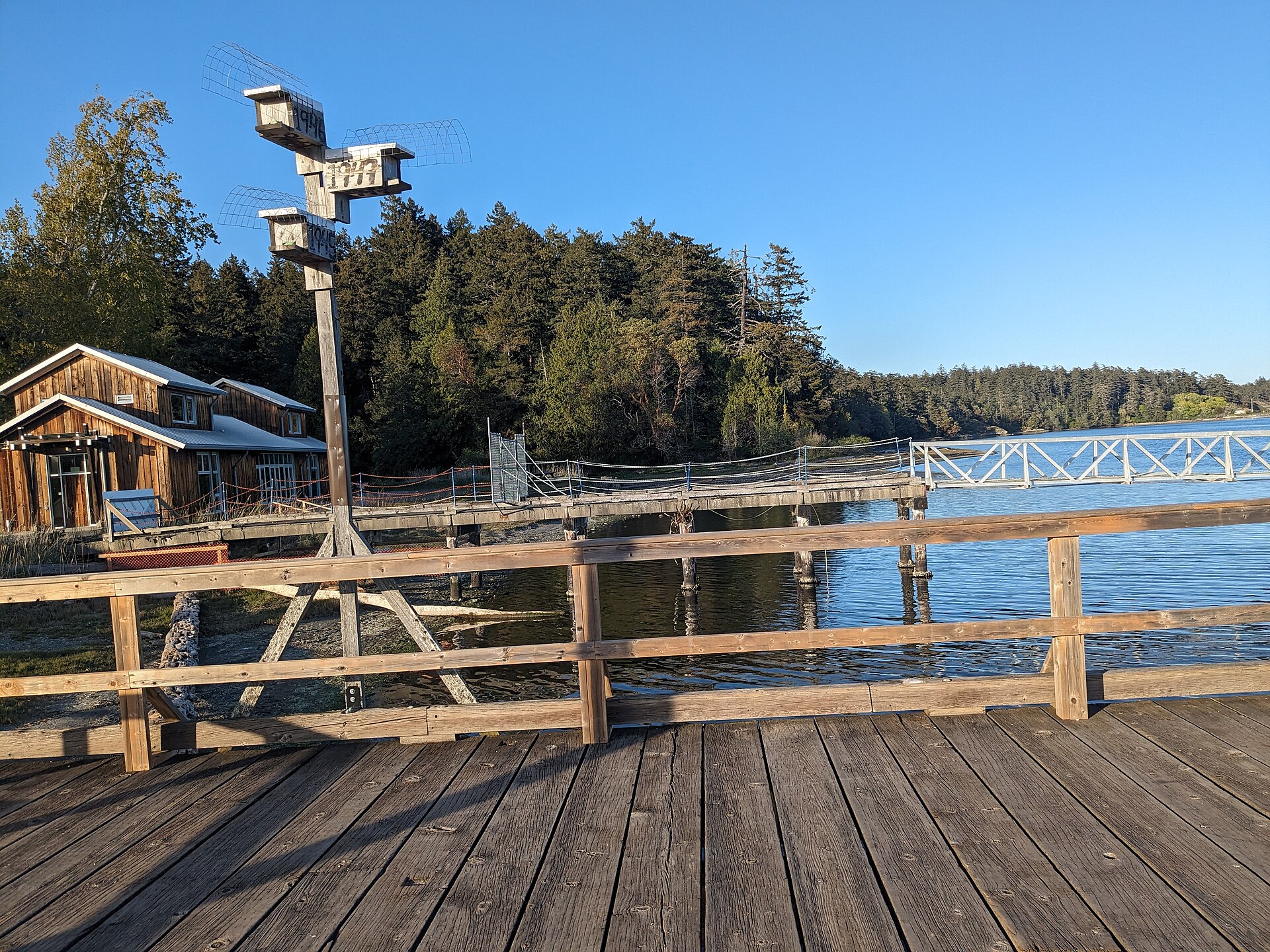 Dock at Esquimalt Lagoon, near Hatley Castle